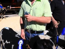 2019_ausstellung polling_439